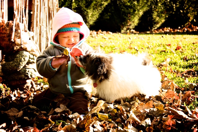 Fall